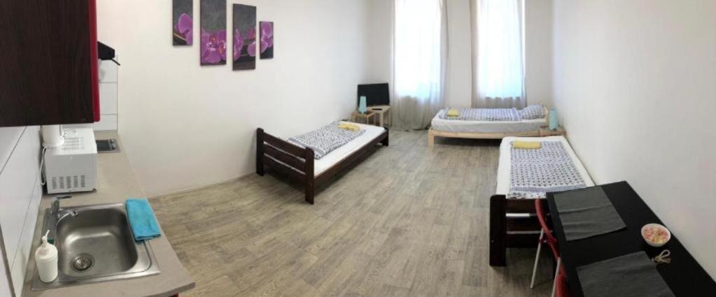 Apartments Near The Center With Privat Parking Brno Ngoại thất bức ảnh