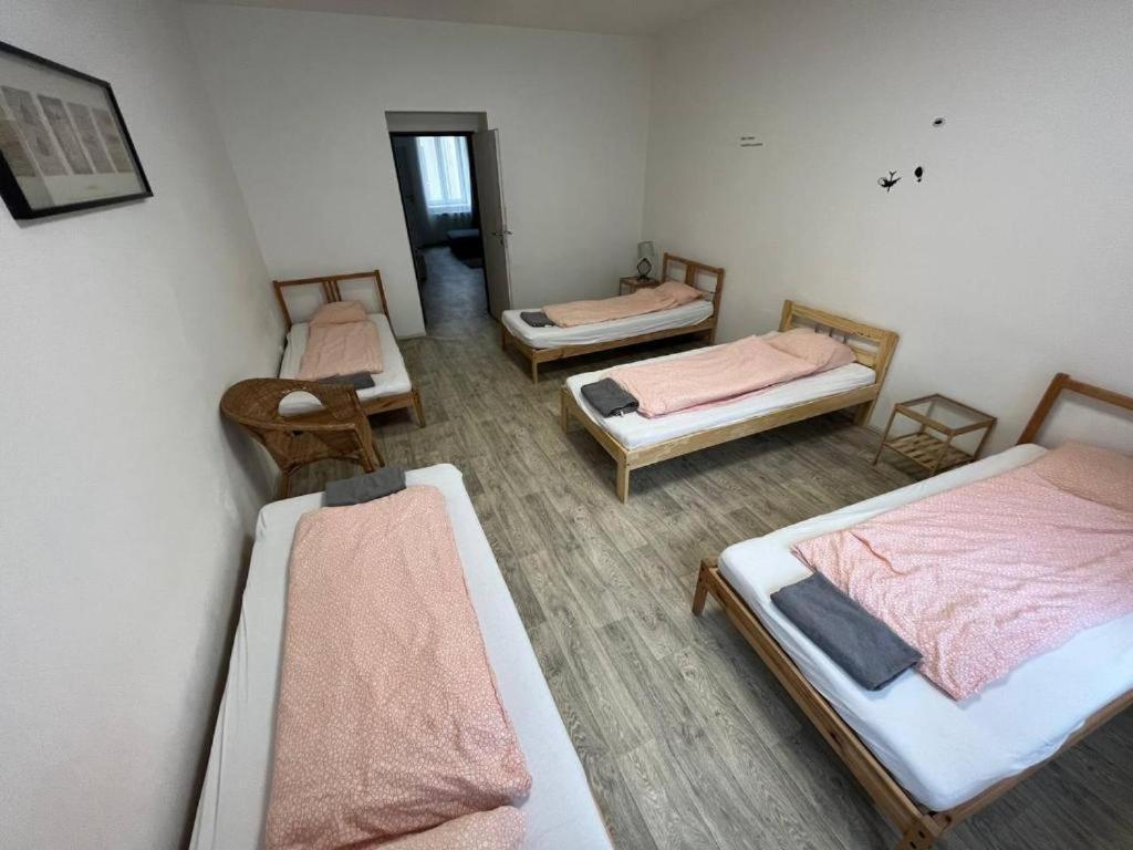 Apartments Near The Center With Privat Parking Brno Ngoại thất bức ảnh
